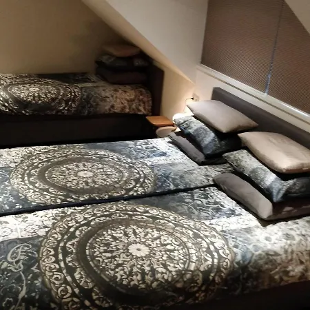 Luxurious In Apartment *