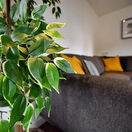 In Near Zwillbrocker Venn Eibergen