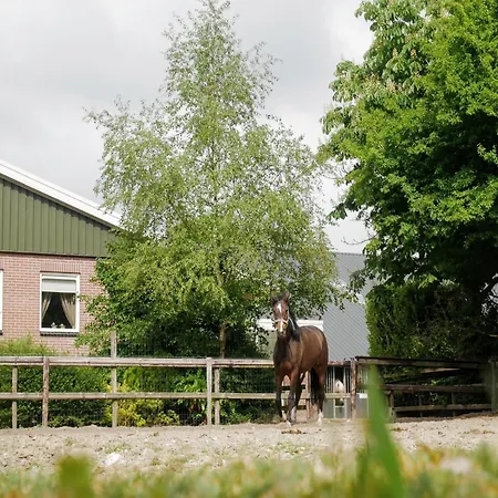 Apartmán In Near Zwillbrocker Venn Eibergen