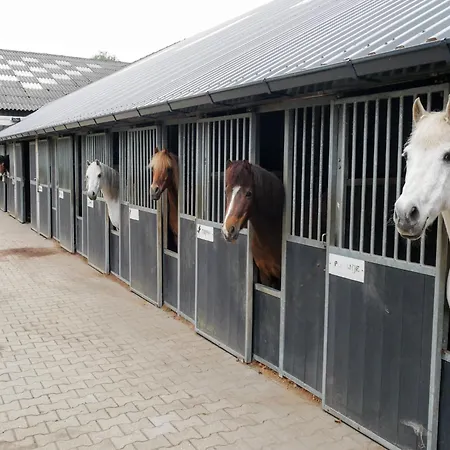 In Near Zwillbrocker Venn Eibergen