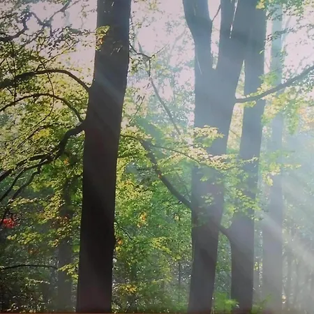 Apartament In Near Zwillbrocker Venn