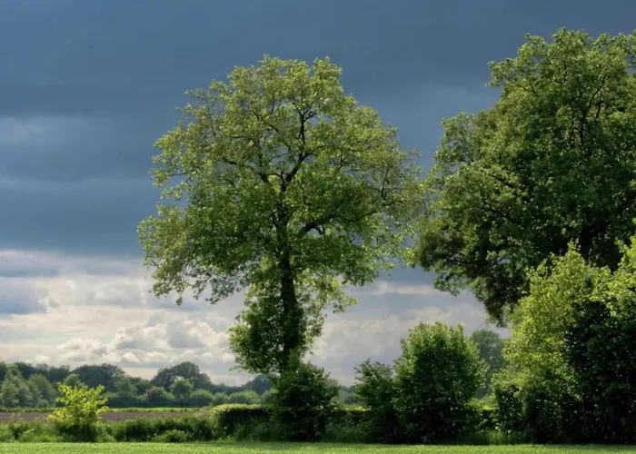 In Near Zwillbrocker Venn Apartmán