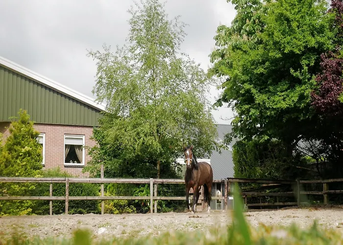 Apartmán In Near Zwillbrocker Venn Eibergen