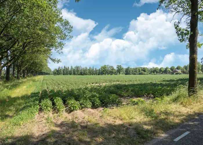 In Near Zwillbrocker Venn Eibergen