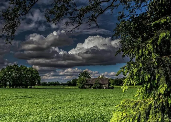 In Near Zwillbrocker Venn Lägenhet