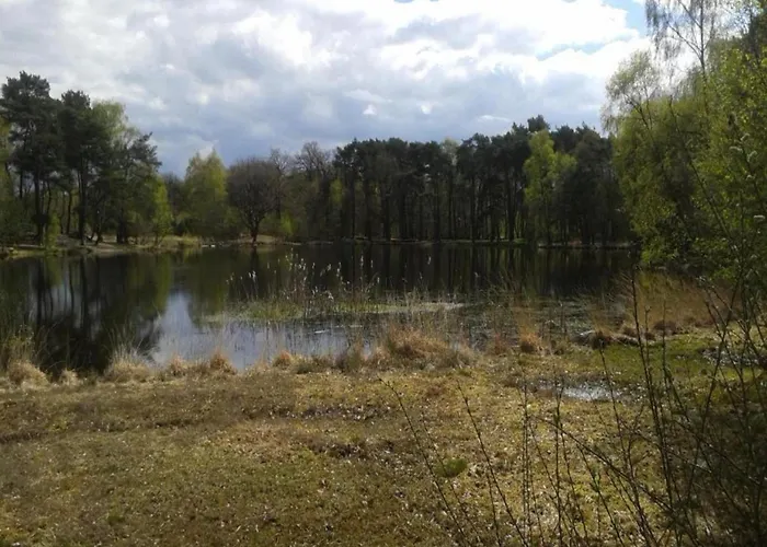 Lägenhet In Near Zwillbrocker Venn *