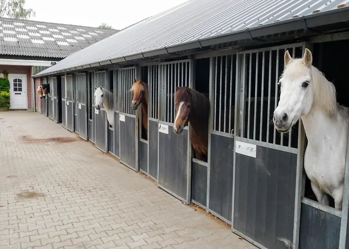 In Near Zwillbrocker Venn Eibergen