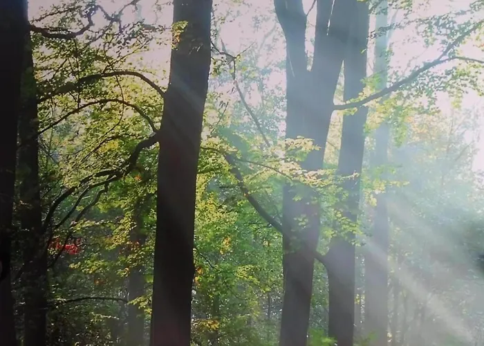 Lägenhet In Near Zwillbrocker Venn