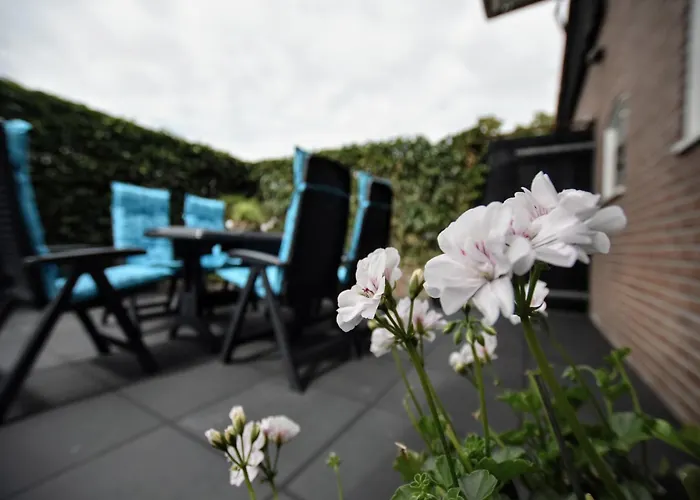 In Near Zwillbrocker Venn * Eibergen