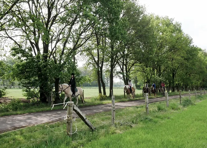 Apartmán In Near Zwillbrocker Venn *