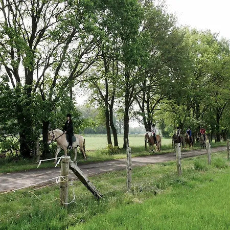 Lejlighed In Near Zwillbrocker Venn *